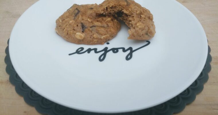 Protein Pumpkin Chocolate Chip Cookies THM-FP